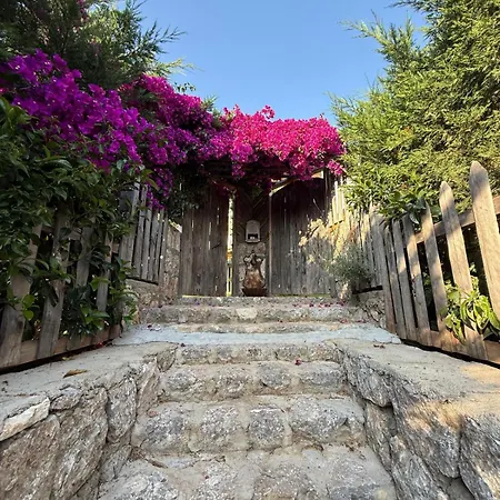 Faralyus Fethiye